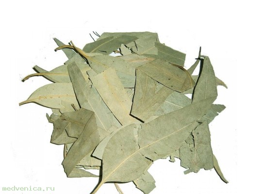 Эвкалипт, лист (крафт пакет, 50гр.)