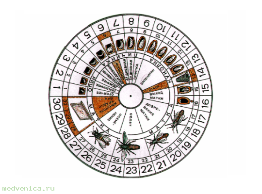 Календарь вывода пчелиных маток (поворотный, ПВХ)