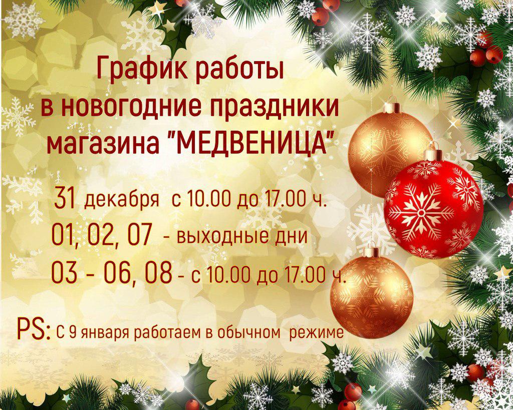 Профессионал режим работы. Режим работы на новогодние праздники 2023 объявления. Режим работы детского сада в новогодние праздники 2023. График работы детского сада в новогодние праздники 2023. Режим работы во время праздников.